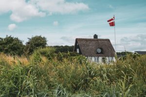 Hvad koster filtsning af hus